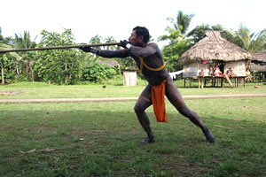 Cerbatana (Bodoquera)