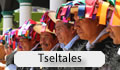 Tseltales