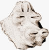 Cerámica Valloide