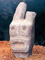 Cabeza de Llama
