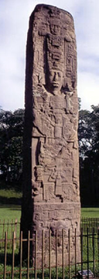 Estela E