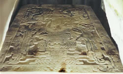 Galería de Imágenes