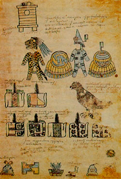 Galería de Imágenes