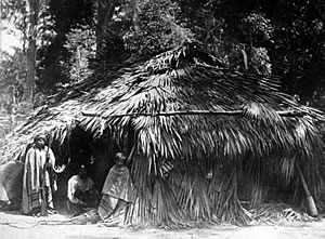 Vivienda