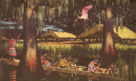 Canoa en los Everglades