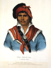 Galería de Imágenes