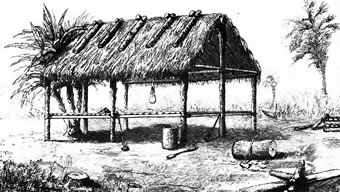 Vivienda