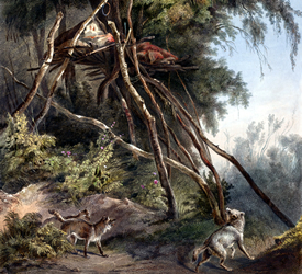 Galería de Imágenes