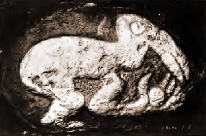 Piedra exhumada en Orongo (1914).