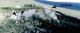 Cuevas Bluefish