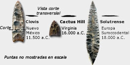 Puntas Cactus Hill