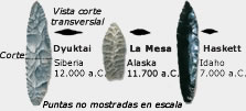 Puntas Gruesas