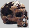 Zuzu. 11.000 a. C.
