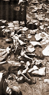 Esqueleto de mastodonte