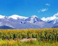 Cerro Blanco
