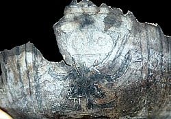 Viracocha