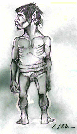 Kurupi