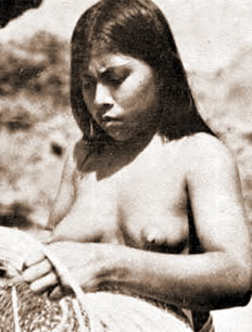 Tejedora