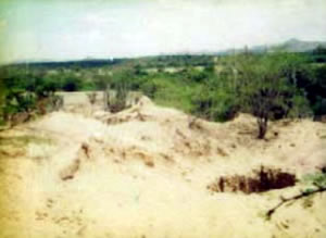 Cerritos de Guadalupe
