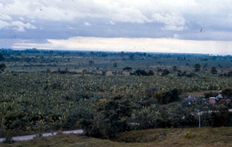 El Estorbo. Paisaje actual.