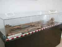 Funeraria