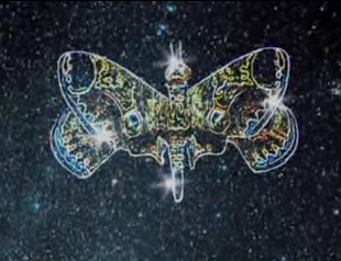 La Mariposa