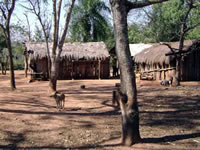 Vivienda Avá Guaraní