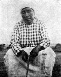 fibra