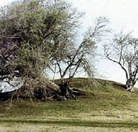 Cerrito de los Indios