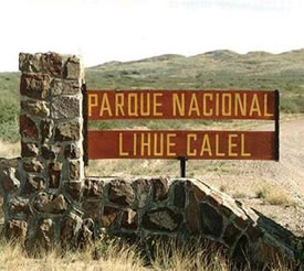 Lihue Calel