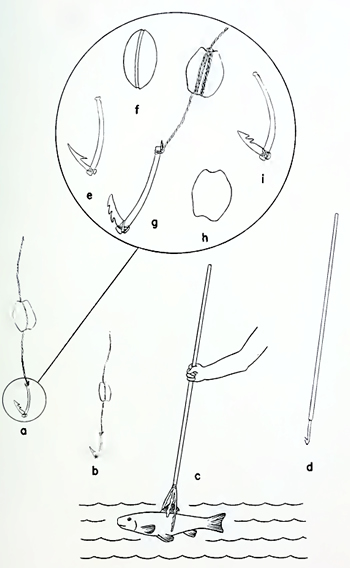 Figura 4