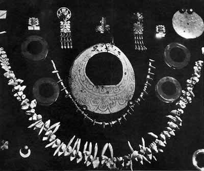 Collar de dientes de lobos y cocodrilos