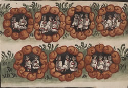 Galería de Imágenes